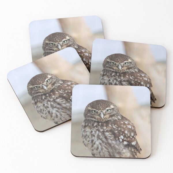 Item preview, Grumpy little owl designed and sold by GreyFeatherPhot.