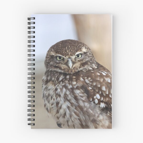 Item preview, Grumpy little owl designed and sold by GreyFeatherPhot.