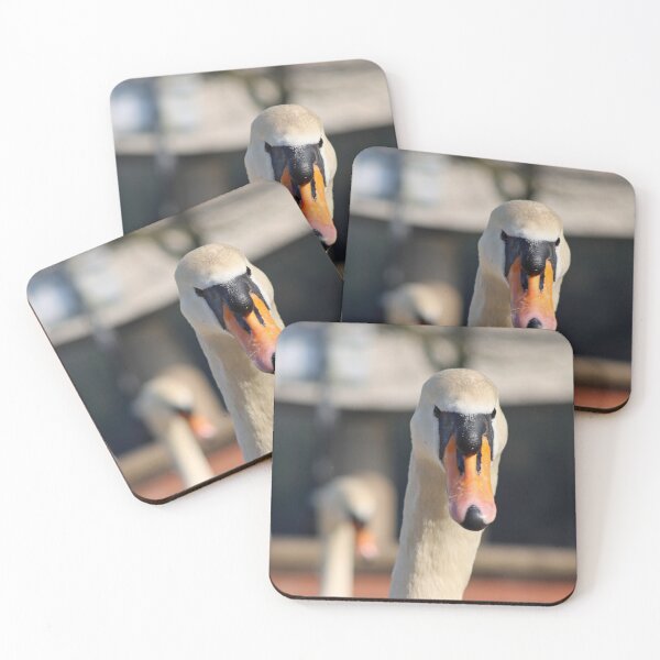 Item preview, Swan stare designed and sold by GreyFeatherPhot.