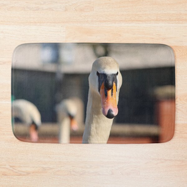 Item preview, Swan stare designed and sold by GreyFeatherPhot.