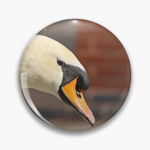 Item preview, Elegant mute swan designed and sold by GreyFeatherPhot.