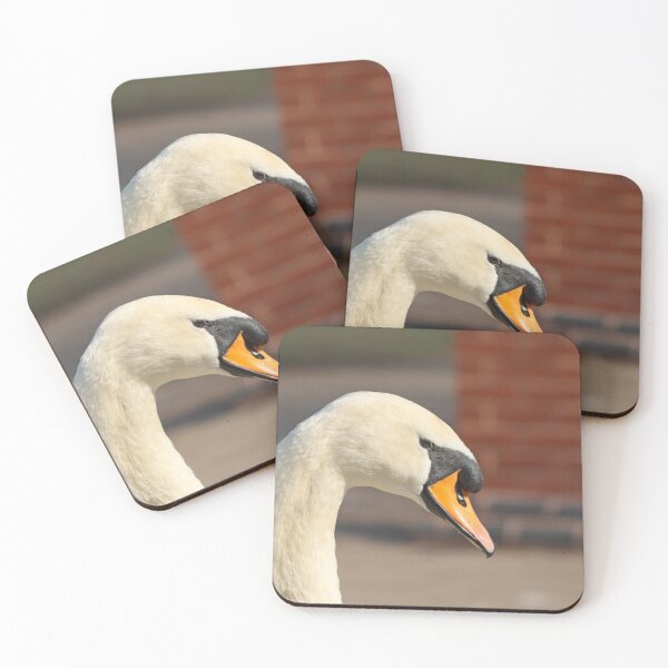 Item preview, Elegant mute swan designed and sold by GreyFeatherPhot.