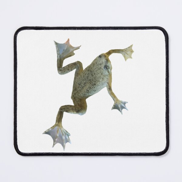 Item preview, African dwarf frog designed and sold by The Love Quill.