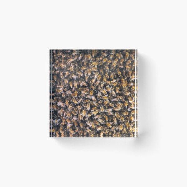 Item preview, BEEZZZZZZZZ! designed and sold by heatherfriedman.