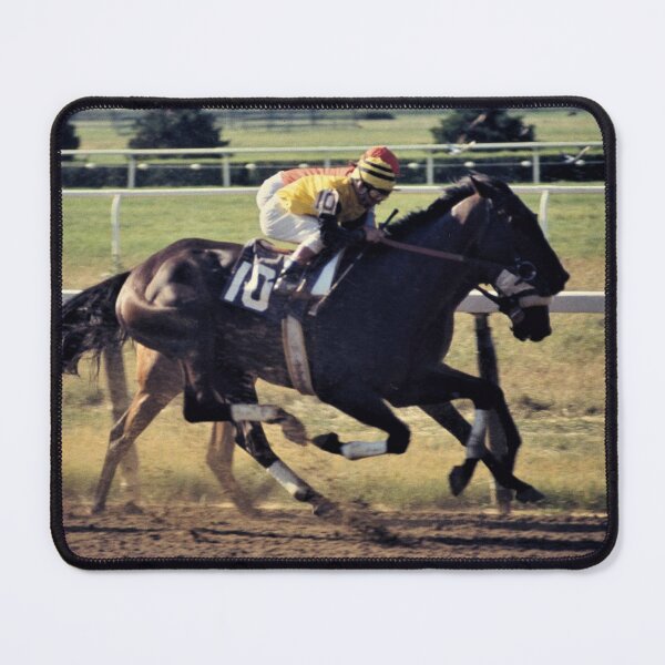 Item preview, HORSERACING CLASSIC WINNERS Steve Yellowbear Fine Art C2021 designed and sold by SteveYellowbear.