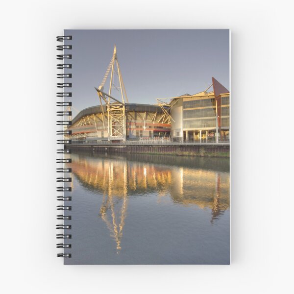 Item preview, Millennium Stadium Cardiff  designed and sold by hawkie.