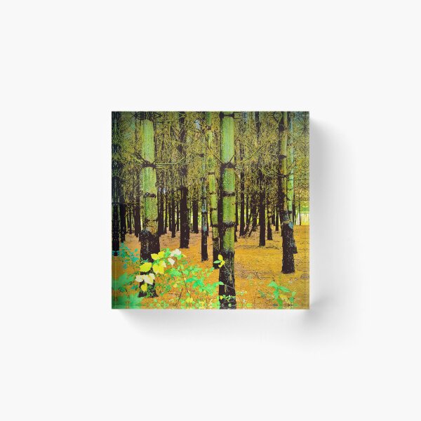 Item preview, Forest of contrasts  designed and sold by NaturebyAdamV.