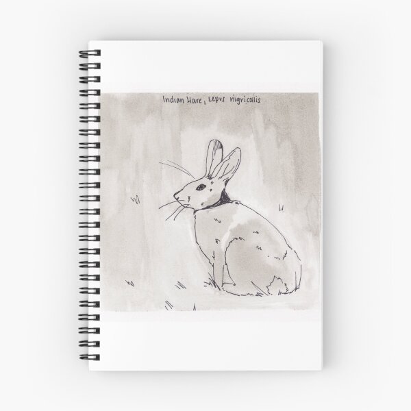 Item preview, Indian Hare (Lepus nigricollis) designed and sold by Z Roesler.
