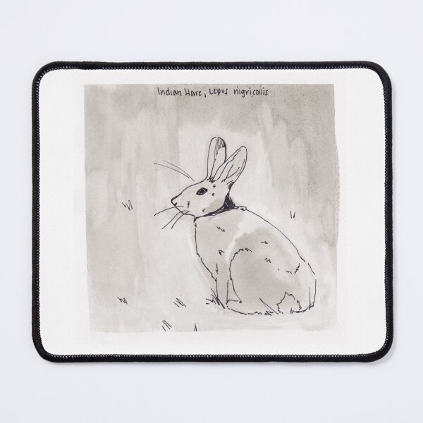 Item preview, Indian Hare (Lepus nigricollis) designed and sold by Z Roesler.