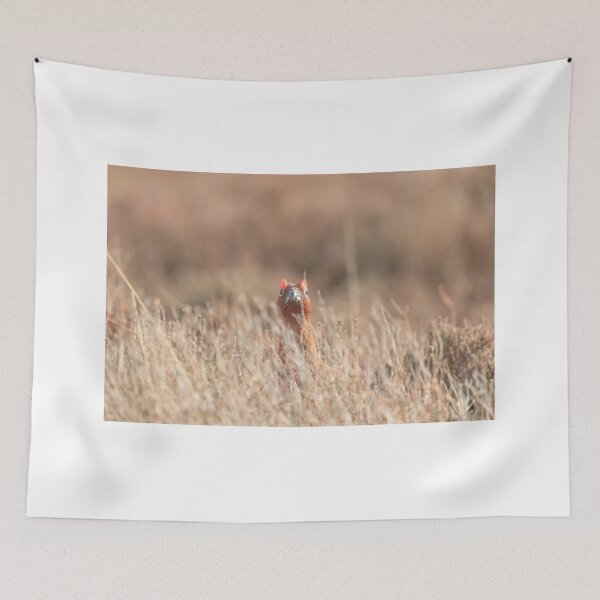 Item preview, Red Grouse designed and sold by chanonry.