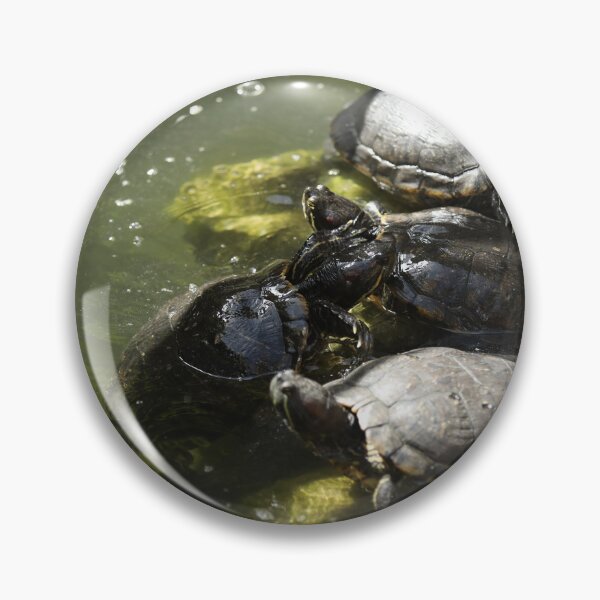 Item preview, Terrapins designed and sold by joshjdss1.