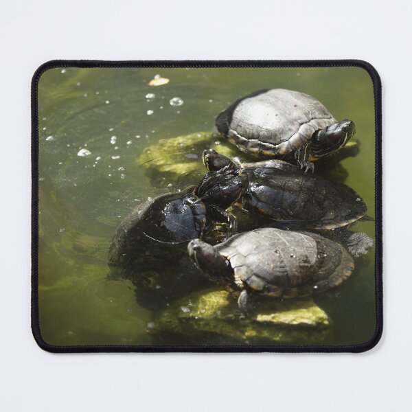 Item preview, Terrapins designed and sold by joshjdss1.