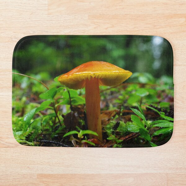 Aperçu de l'œuvre Petits champignons orange de la forêt créée et vendue par Lostlogo.