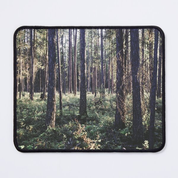 Item preview, Pine Forest in Sunlight, Glacier National Park designed and sold by Lostlogo.