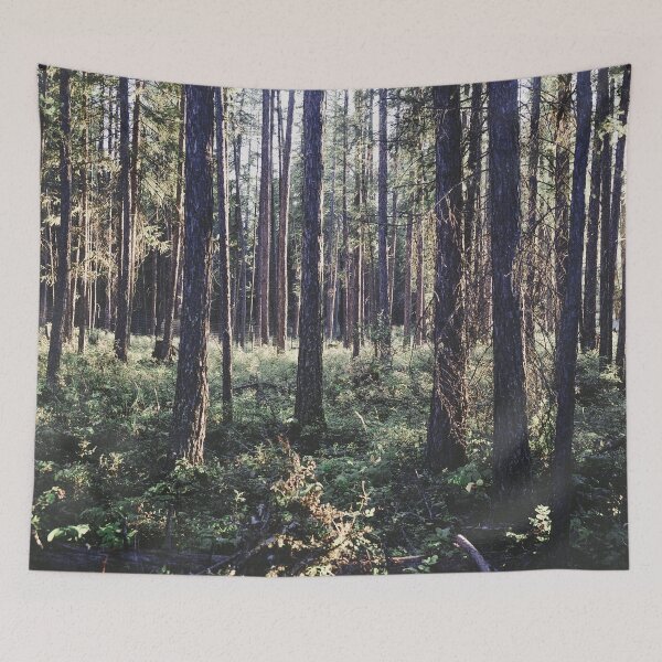 Item preview, Pine Forest in Sunlight, Glacier National Park designed and sold by Lostlogo.