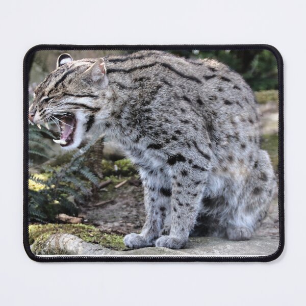 Item preview, Japanese Fishing Cat designed and sold by Ladymoose.