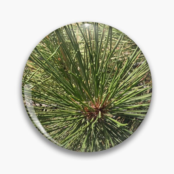 Item preview, Pine Needles designed and sold by SunnyDesignsCo.