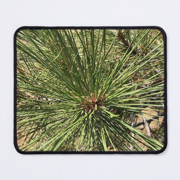 Item preview, Pine Needles designed and sold by SunnyDesignsCo.