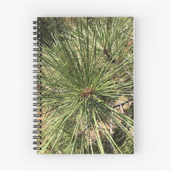 Item preview, Pine Needles designed and sold by SunnyDesignsCo.