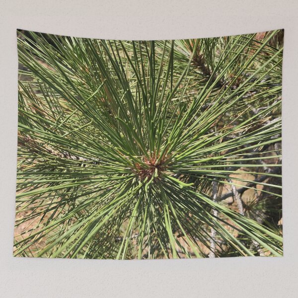 Item preview, Pine Needles designed and sold by SunnyDesignsCo.