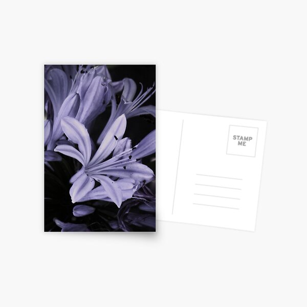 Purple Postcard