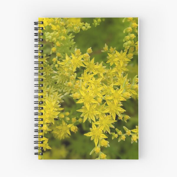 Item preview, Goldmoss Sedum Yellow designed and sold by WhatThePublicWa.