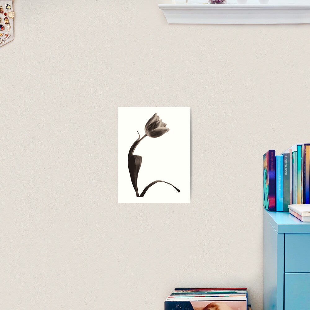 Antique Tulip Art Print