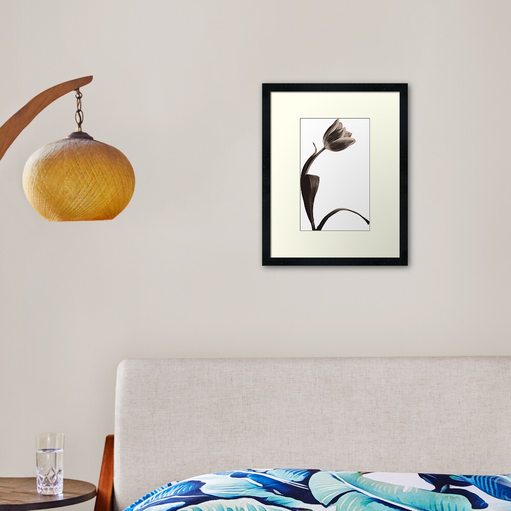 Antique Tulip Framed Art Print