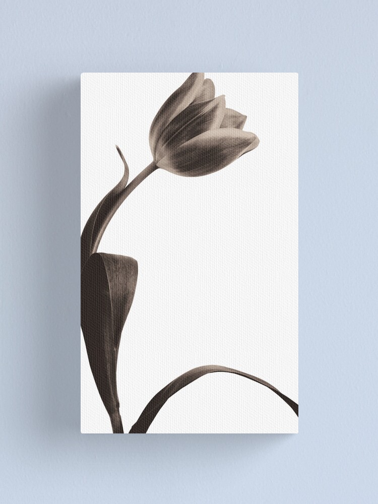 Alternate view of Antique Tulip Canvas Print