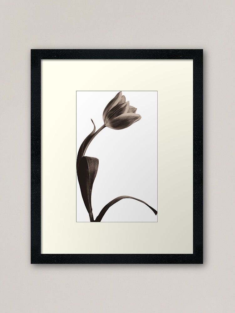 Alternate view of Antique Tulip Framed Art Print