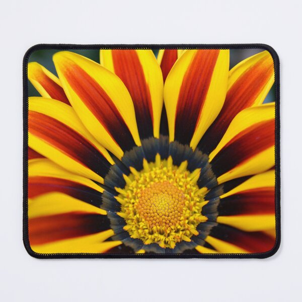 Item preview, Gazania Rigens - Treasure Flower designed and sold by PhotosByFelix.
