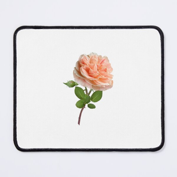 Item preview, Beautiful Elegant Cream Rose designed and sold by silviaol.