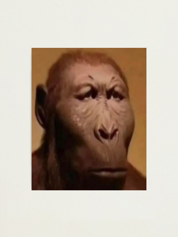 meme de mono de cara seria | Pegatina