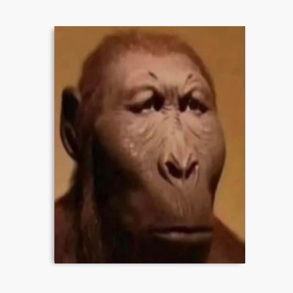 meme de mono de cara seria | Pegatina