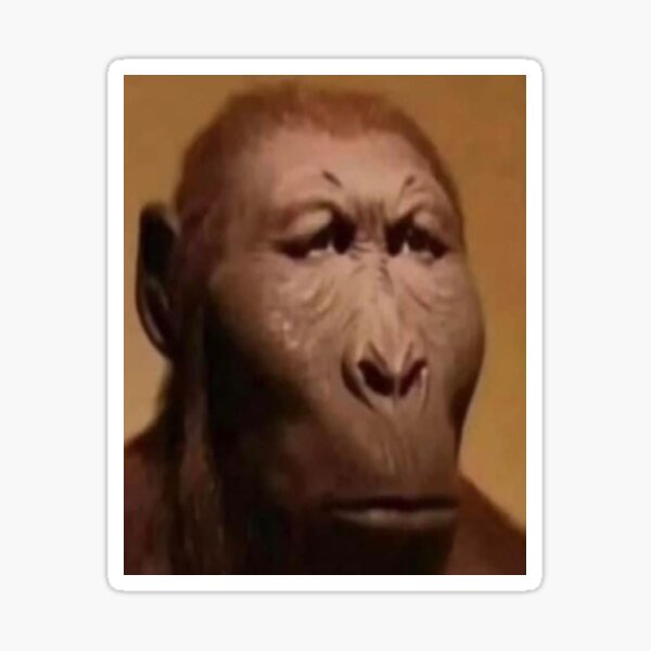 straight face monkey meme | Sticker