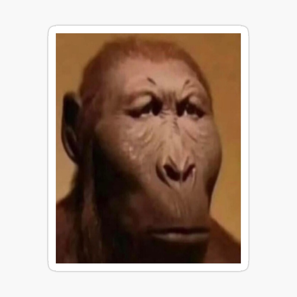 meme de mono de cara seria | Pegatina