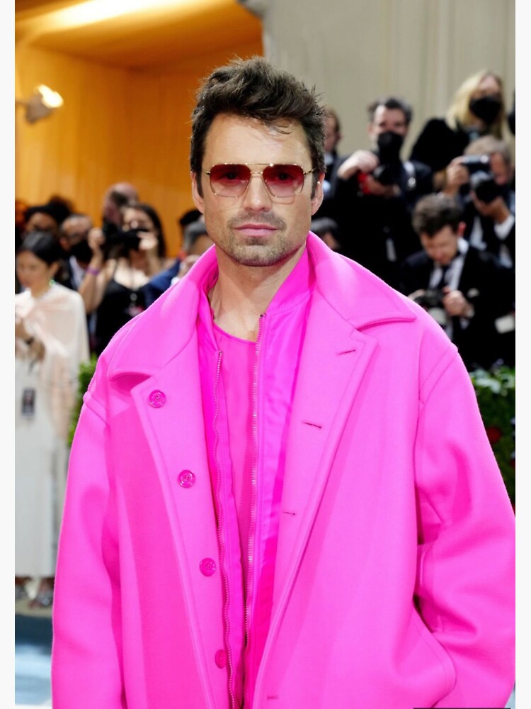 "Sebastian Stan at the Met Gala" Sticker by hopenoel Redbubble