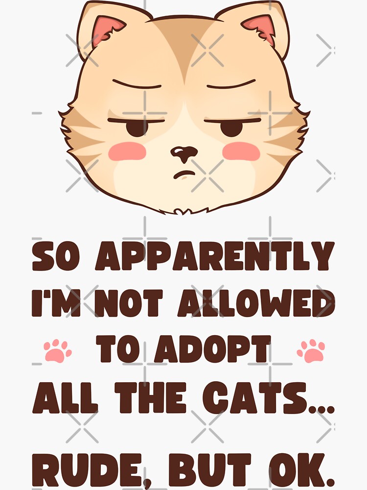 "SO APPARENTLY I'M NOT ALLOWED TO ADOPT ALL THE CATS. RUDE, BUT OK