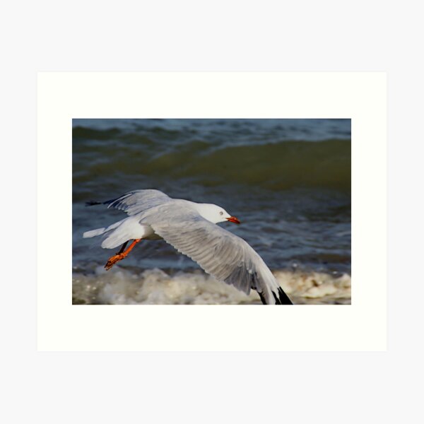Item preview, sea patrol ... designed and sold by rogersmith.