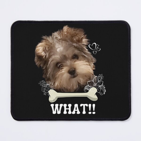Item preview, Morkie Puppy What! - Morkie Dog Lover Fun Graphic - Fun Morkie Gifts Classic T-Shirt designed and sold by PDesigns69.