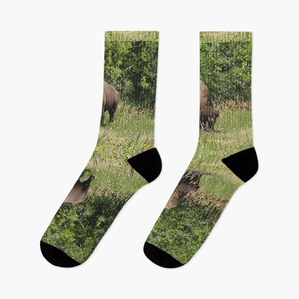 Item preview, Tatanka Bison Reflections in the Grass-Photo Custer State Park designed and sold by 69Designs-MP.
