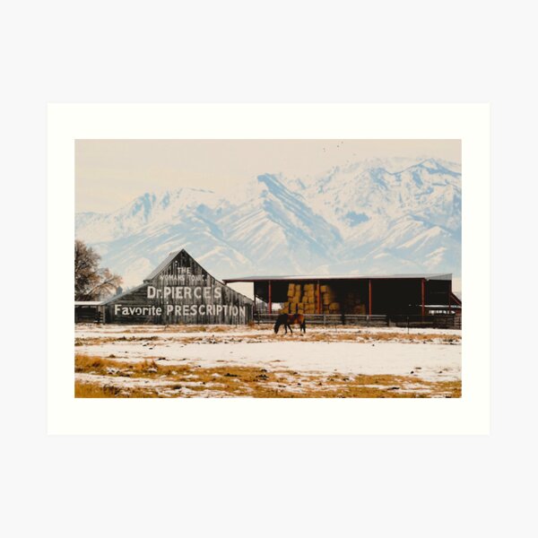 Logan Americana Art Print