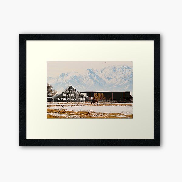Logan Americana Framed Art Print
