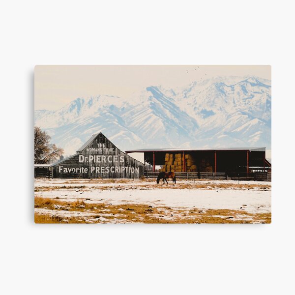 Logan Americana Canvas Print