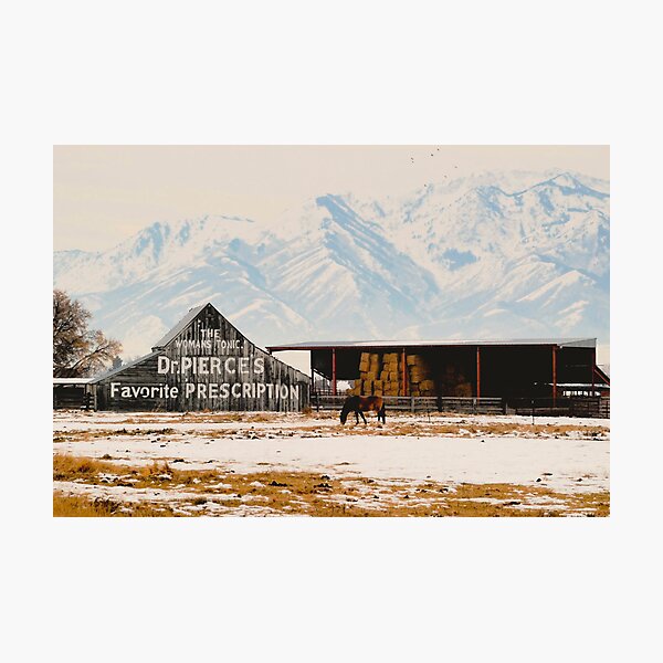 Logan Americana Photographic Print