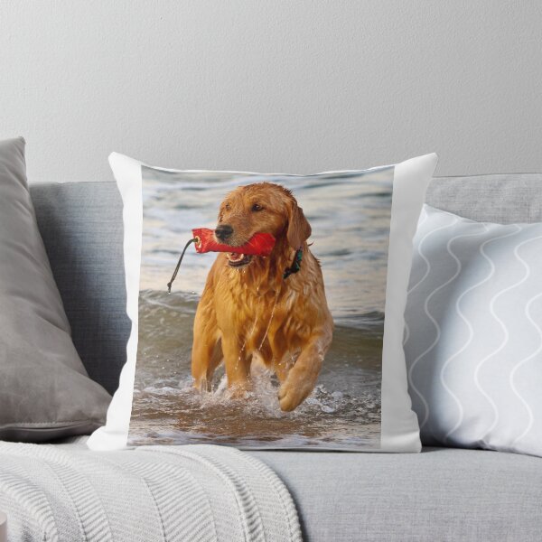 Vista previa del artículo con la obra «Golden Retriever - Besos», diseñado y vendido por BeckyGregory.