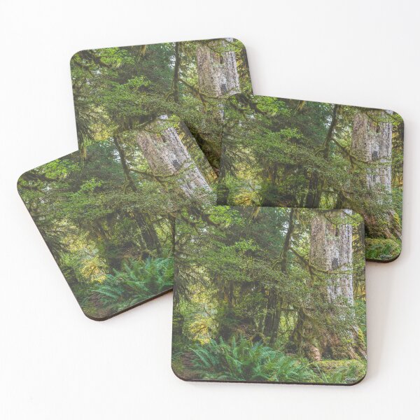 Item preview, Olympic Peninsula - Hoh Rainforest, Washington  designed and sold by Lostlogo.