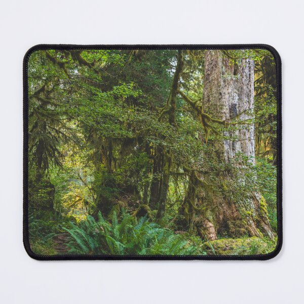 Item preview, Olympic Peninsula - Hoh Rainforest, Washington  designed and sold by Lostlogo.