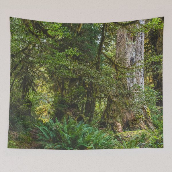 Item preview, Olympic Peninsula - Hoh Rainforest, Washington  designed and sold by Lostlogo.
