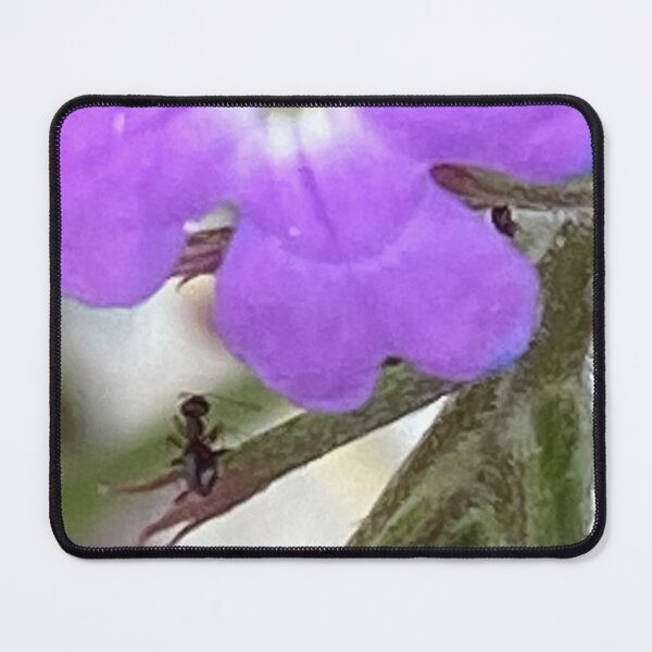 Item preview, Mildred The Ant Looks Up designed and sold by pinkyjainpan.